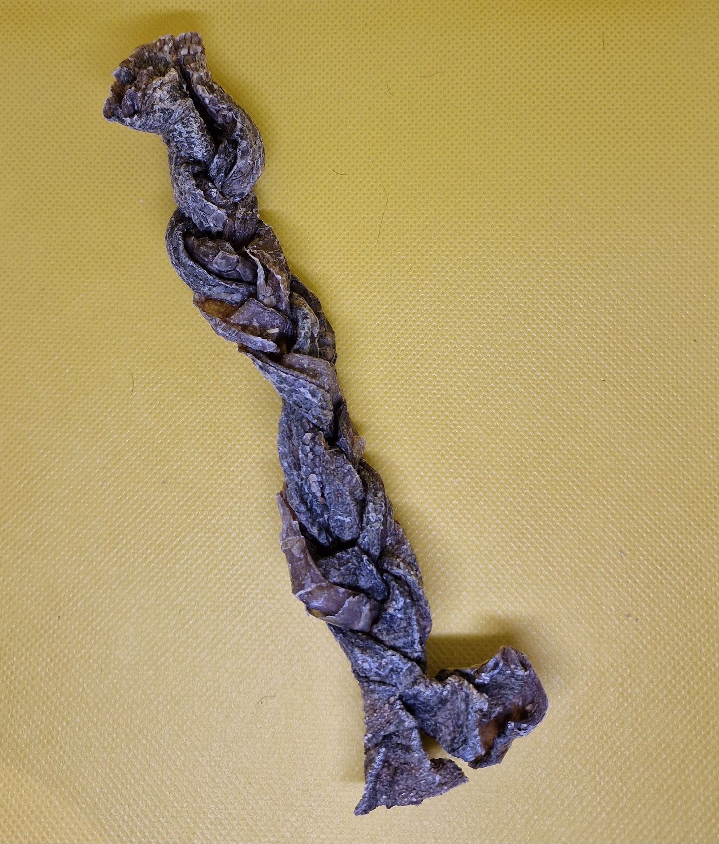 Straussen Getrocknete Geflochtene Haut