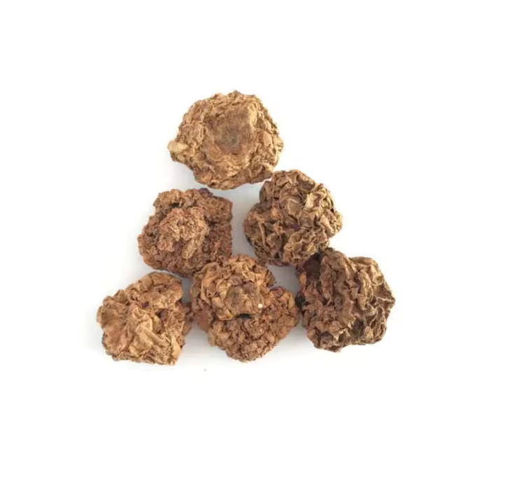 Matatabi Frucht