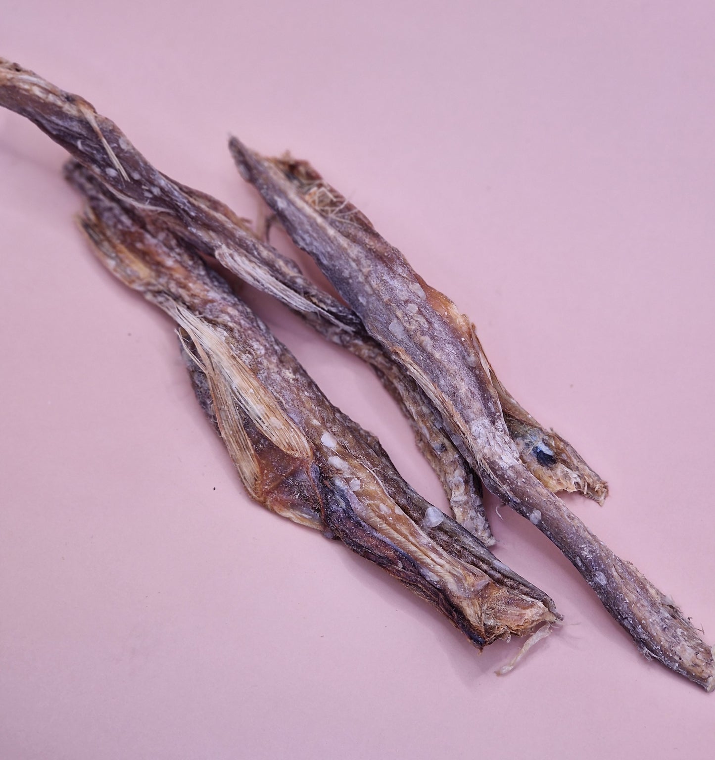 Bombay Duck Fisch