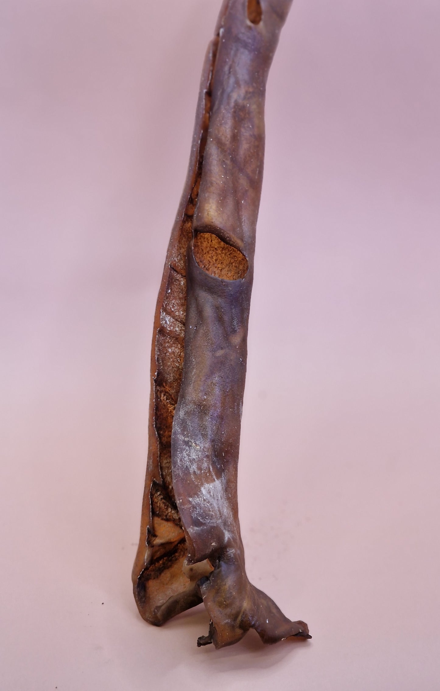 Kamel-Haut ca.40cm