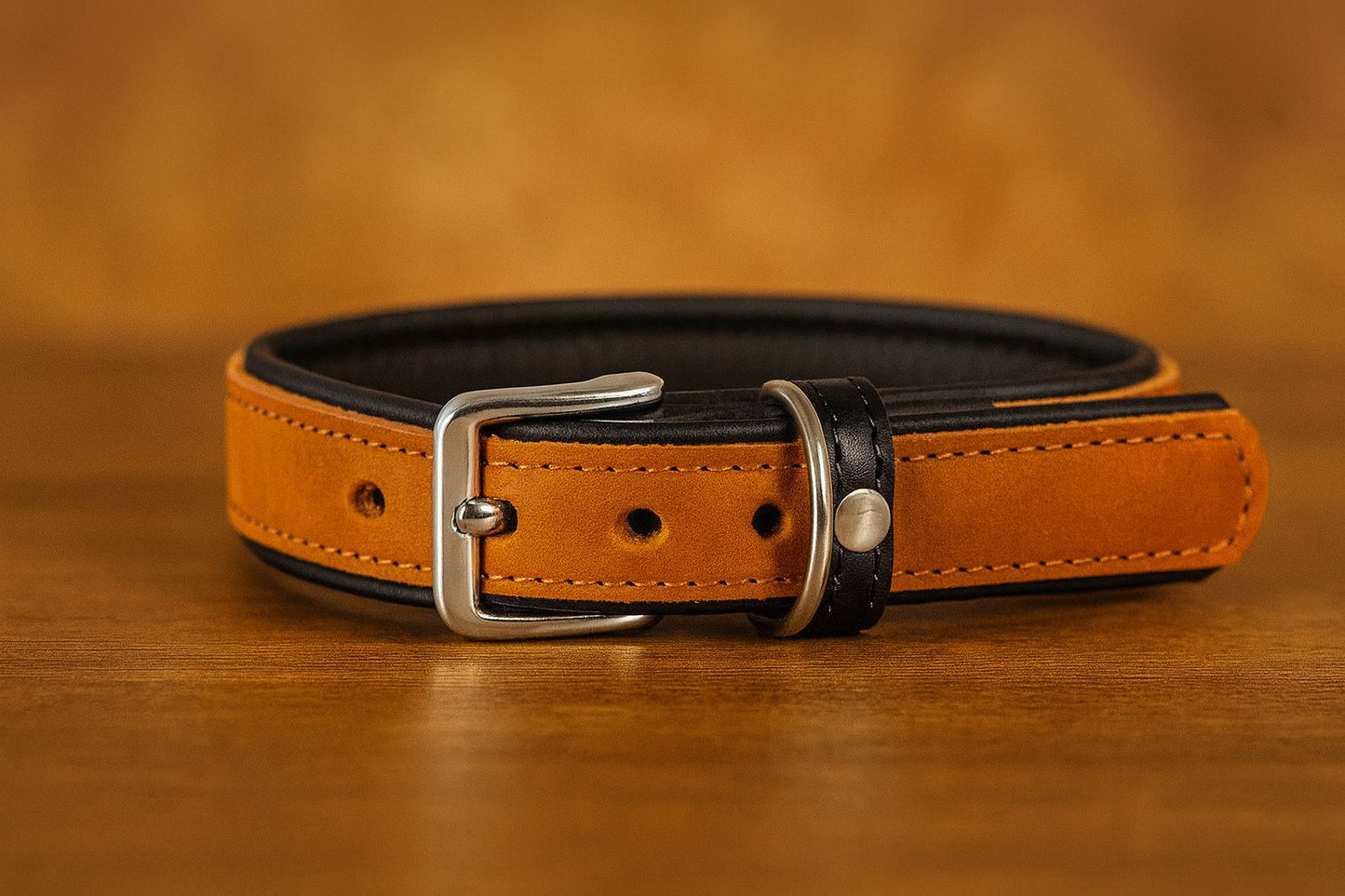 Hundehalsband Vancouver