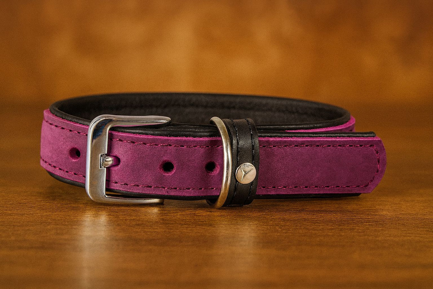 Hundehalsband Vancouver